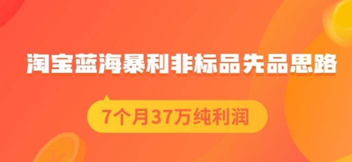 盗坤淘宝蓝海暴利非标品先品思路,7个月37万纯利润,压箱干货分享!【付费文章】-芸启轻创