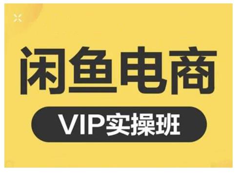 闲鱼电商零基础入门到进阶VIP实战课程，帮助你掌握闲鱼电商所需的各项技能-芸启轻创