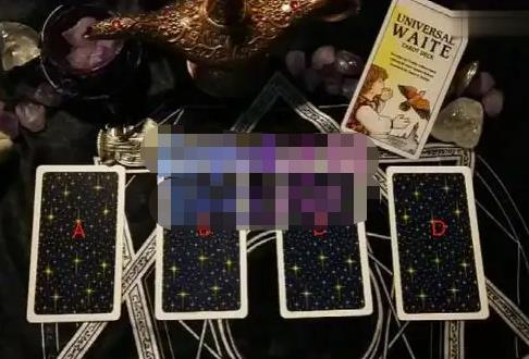 严校长·塔罗牌付费项目,0风险,一台手机,随时随地赚钱价值1000元-芸启轻创