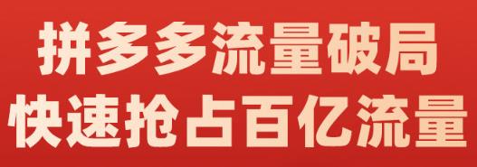 阿杰·拼多多流量破局:如何打黑标，爆款的思路，拼多多流量框架，快速抢占百亿流量-芸启轻创