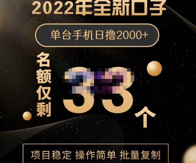 2022年全新口子，手机批量搬砖玩法，一部手机日撸2000-芸启轻创