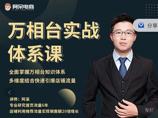 阿呆-万相台实战体系课,帮您全面掌握万相台知识体系-芸启轻创