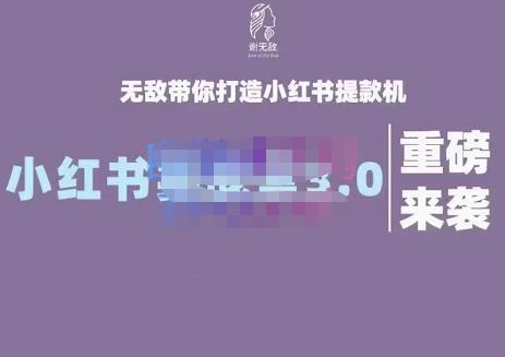 谢无敌·小红书实战营3.0，无敌带你打造小红书提款机 价值7999元-芸启轻创