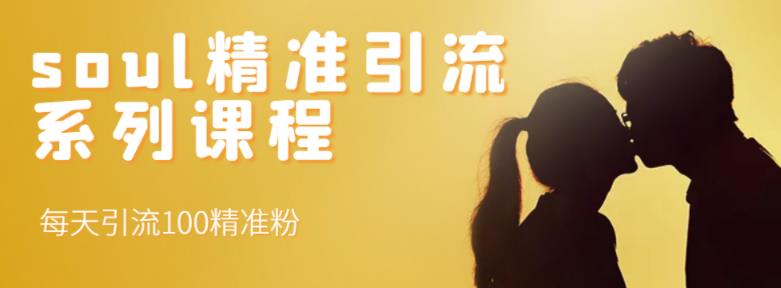 soul精准引流系列课程，每天引流100精准粉-芸启轻创