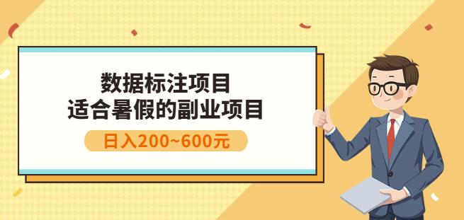 副业赚钱：人工智能数据标注项目，简单易上手，小白也能日入200-芸启轻创
