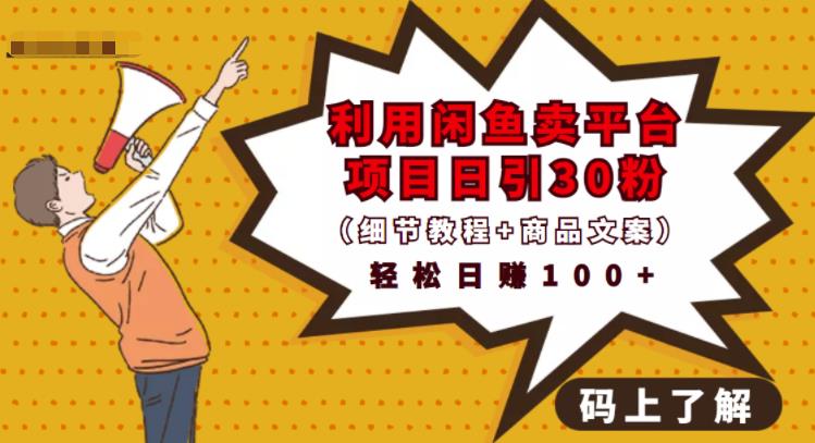 利用闲鱼卖平台项目课程资源日引流30 精准粉丝，轻松日赚100 ，积累人脉可实现二次变现（细节教程 商品文案）-芸启轻创
