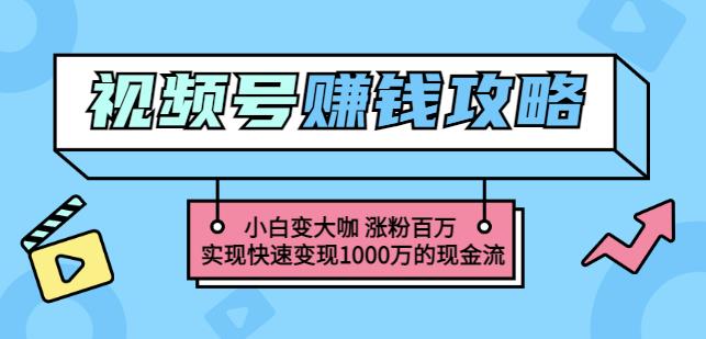 玩转微信视频号赚钱：小白变大咖涨粉百万实现快速变现1000万的现金流-芸启轻创