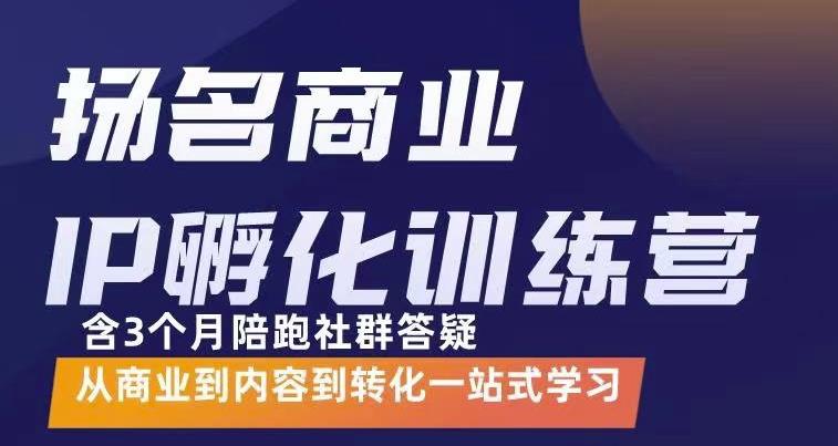 杨名商业IP孵化训练营，从商业到内容到转化一站式学 价值5980元-芸启轻创