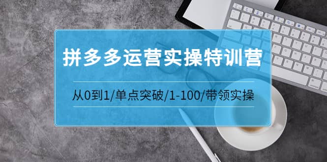 拼多多运营实操特训营:从0到1/单点突破/1-100/带领实操 价值2980元-芸启轻创