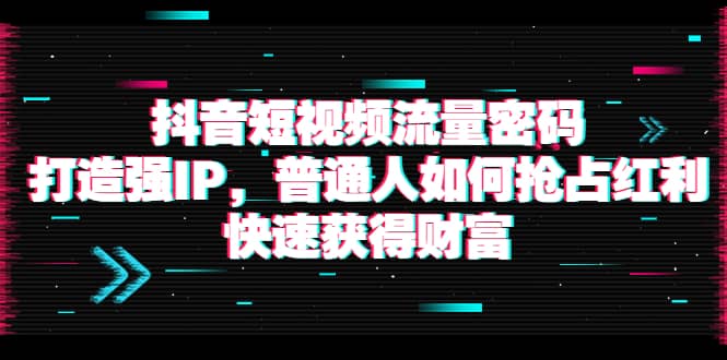 抖音短视频流量密码：打造强IP，普通人如何抢占红利，快速获得财富-芸启轻创
