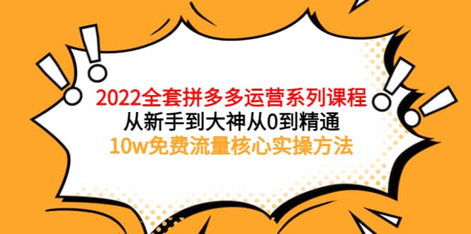 2022全套拼多多运营课程，从新手到大神从0到精通，10w免费流量核心实操方法-芸启轻创