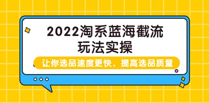 2022淘系蓝海截流玩法实操：让你选品速度更快，提高选品质量（价值599）-芸启轻创