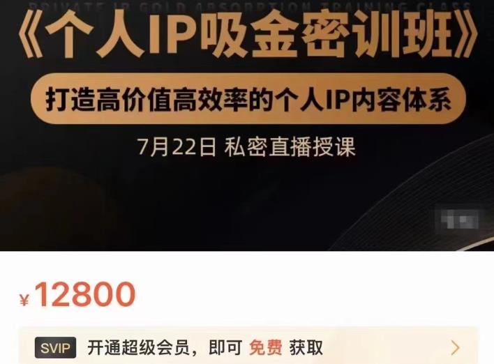 个人IP吸金密训班,打造高价值高效率的个人IP内容体系(价值12800元)-芸启轻创