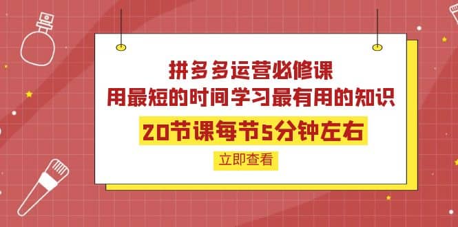 拼多多运营必修课:20节课每节5分钟左右,用最短的时间学习最有用的知识-芸启轻创