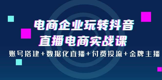 电商企业玩转抖音直播电商实战课：账号搭建 数据化直播 付费投流 金牌主播-芸启轻创