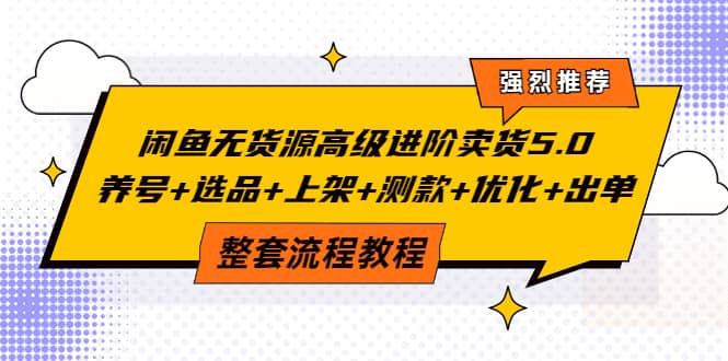 闲鱼无货源高级进阶卖货5.0，养号 选品 上架 测款 优化 出单整套流程教程-芸启轻创