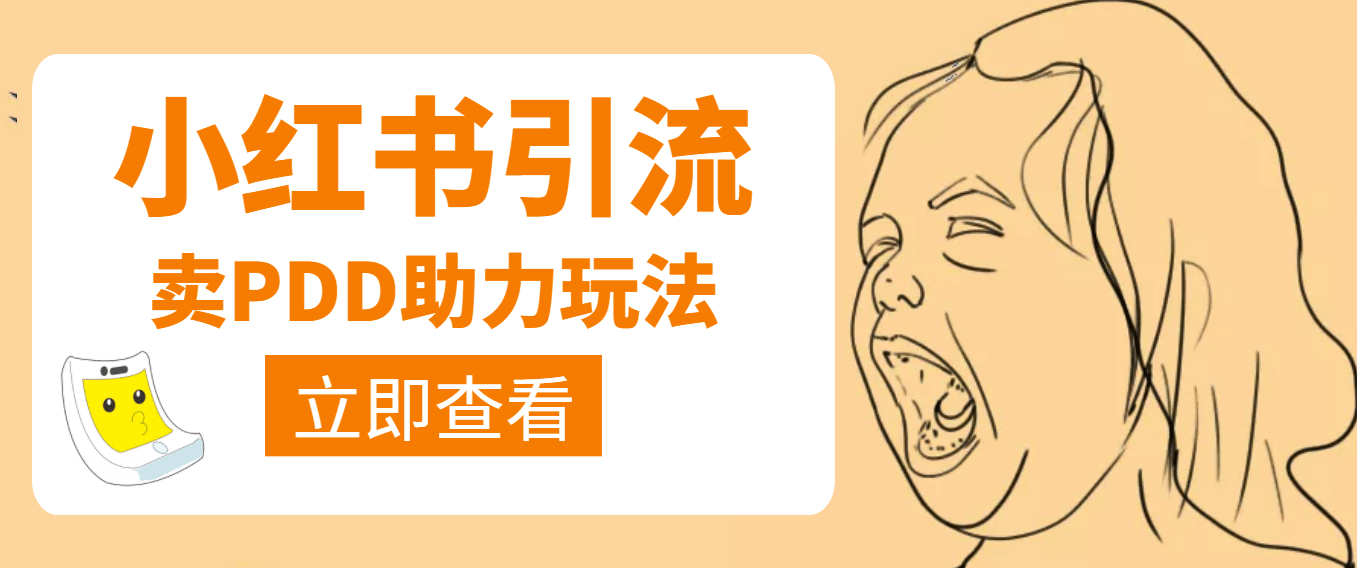 利用小红书卖拼多多助力-芸启轻创