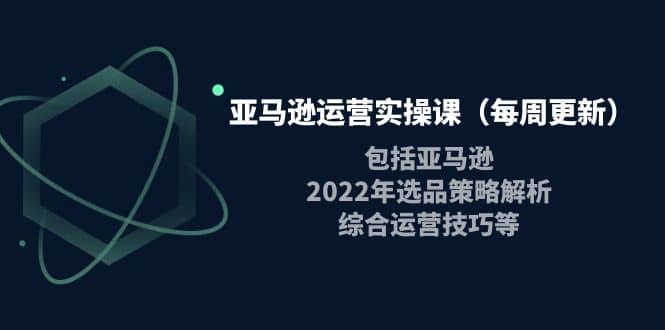 亚马逊运营实操课（每周更新）包括亚马逊2022选品策略解析，综合运营技巧等-芸启轻创