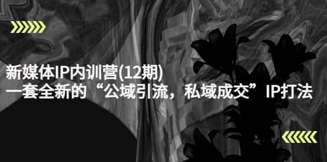 新媒体IP内训营(12期)，一套全新的“公域引流，私域成交”IP打法，直接带走-芸启轻创