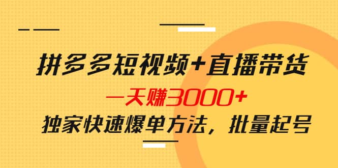 拼多多短视频 直播带货，一天赚3000 独家快速爆单方法，批量起号-芸启轻创