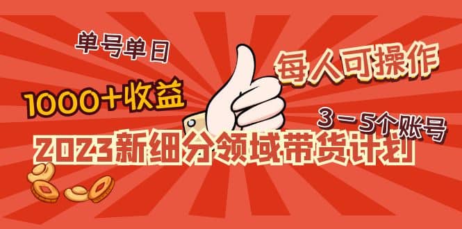 2023新细分领域带货计划：单号单日1000 收益不难，每人可操作3-5个账号-芸启轻创