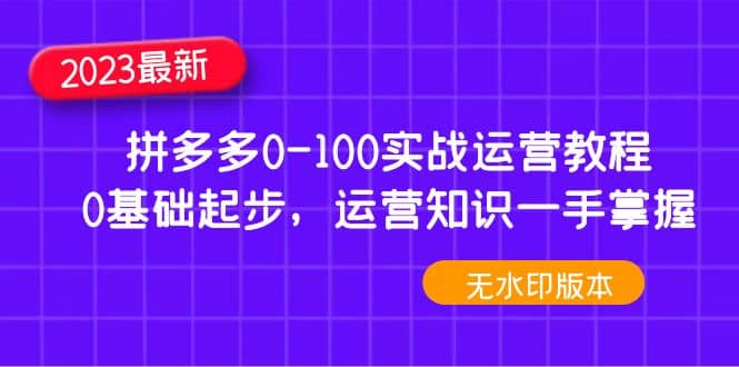 2023拼多多0-100实战运营教程，0基础起步，运营知识一手掌握（无水印）-芸启轻创