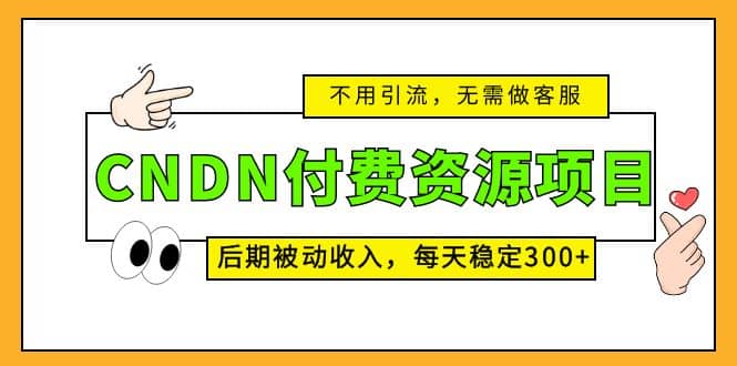 CNDN付费资源项目，不用引流，无需做客服，后期被动收入-芸启轻创