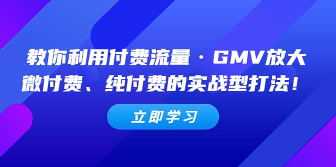 教你利用付费流量·GMV放大，微付费、纯付费的实战型打法-芸启轻创