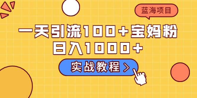 一天引流100 宝妈粉，日入1000 的蓝海项目（实战教程）-芸启轻创