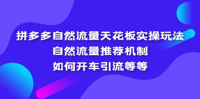 拼多多自然流量天花板实操玩法：自然流量推荐机制，如何开车引流等等-芸启轻创