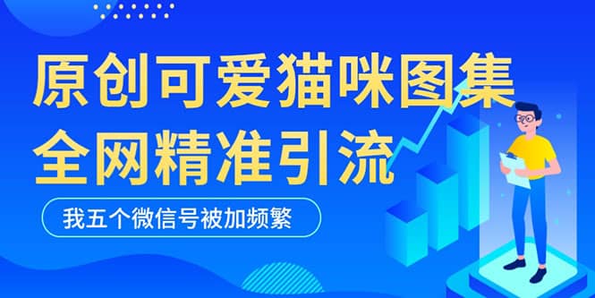 黑科技纯原创可爱猫咪图片，全网精准引流，实操5个VX号被加频繁-芸启轻创