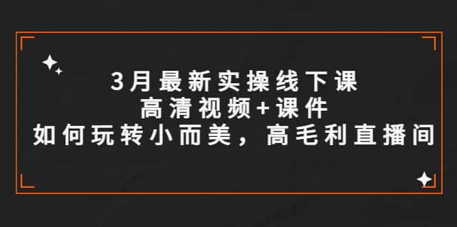 3月最新实操线下课高清视频 课件，如何玩转小而美，高毛利直播间-芸启轻创