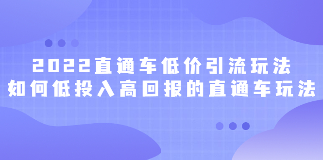 2022直通车低价引流玩法，教大家如何低投入高回报的直通车玩法-芸启轻创