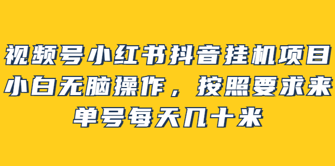 视频号小红书抖音挂机项目，小白无脑操作，按照要求来，单号每天几十米-芸启轻创