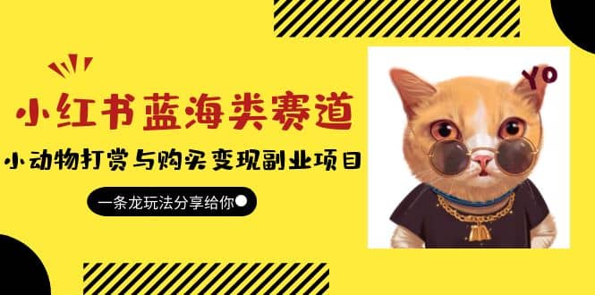 小红书蓝海类赛道：小动物打赏与购买变现副业项目，一条龙玩法分享给你-芸启轻创
