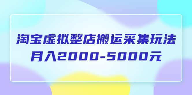 淘宝虚拟整店搬运采集玩法分享课：月入2000-5000元（5节课）-芸启轻创