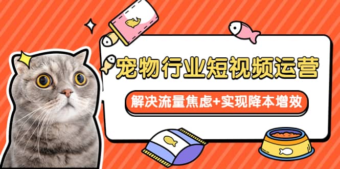 宠物/行业短视频运营 流量增长的一层窗户纸 解决流量焦虑 实现降本增效-芸启轻创