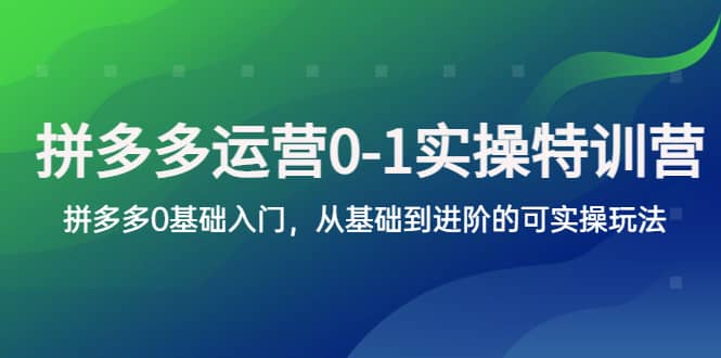 拼多多-运营0-1实操训练营，拼多多0基础入门，从基础到进阶的可实操玩法-芸启轻创