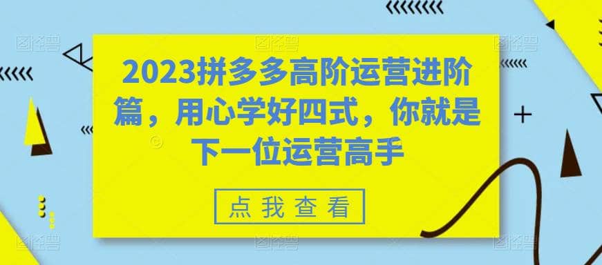 2023拼多多高阶运营进阶篇，用心学好四式，你就是下一位运营高手-芸启轻创