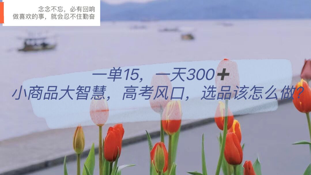 一单15，一天300 ，小商品大智慧，高考风口，选品该怎么布局-芸启轻创