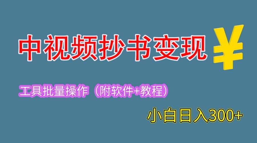 2023中视频抄书变现（附工具 教程），一天300 ，特别适合新手操作的副业-芸启轻创