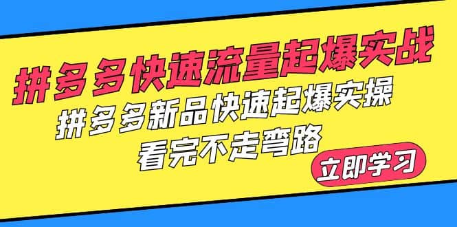 拼多多-快速流量起爆实战，拼多多新品快速起爆实操，看完不走弯路-芸启轻创