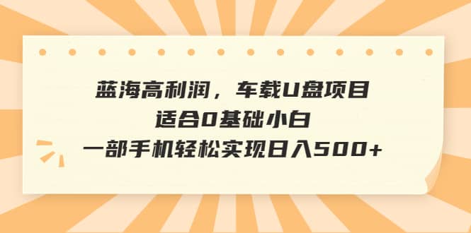 蓝海高利润，车载U盘项目，适合0基础小白，一部手机轻松实现日入500-芸启轻创
