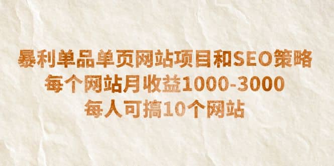 暴利单品单页网站项目和SEO策略 每个网站月收益1000-3000 每人可搞10个-芸启轻创