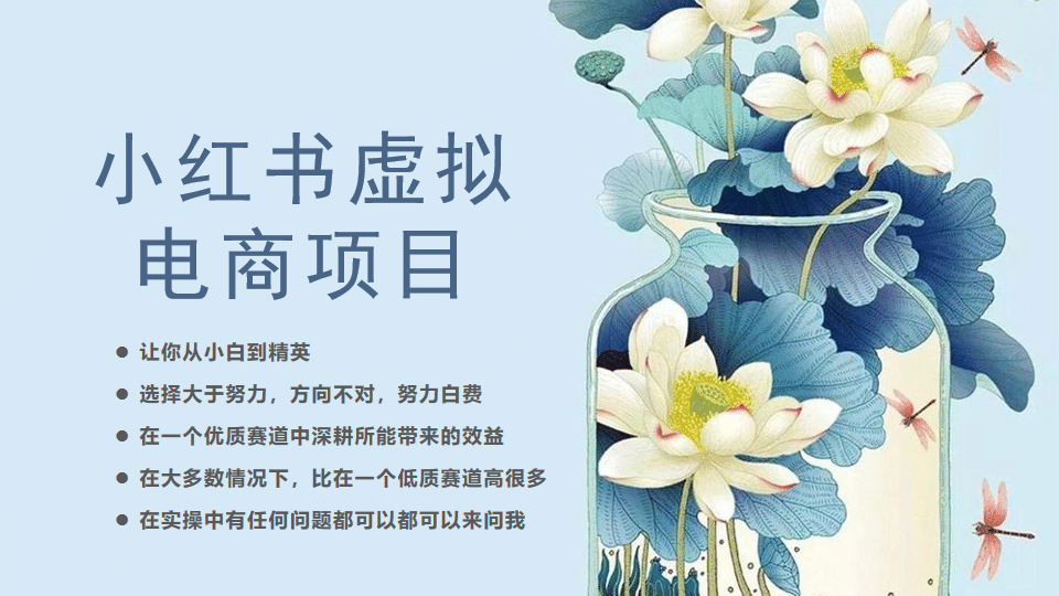 小红书虚拟电商从0到1，让你从小白到精英（20节实操课程）-芸启轻创