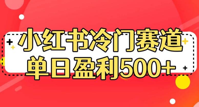 小红书冷门赛道，单日盈利500 【揭秘】-芸启轻创