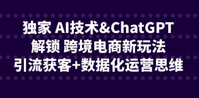 独家 AI技术ChatGPT解锁 跨境电商新玩法,引流获客 数据化运营思维-芸启轻创