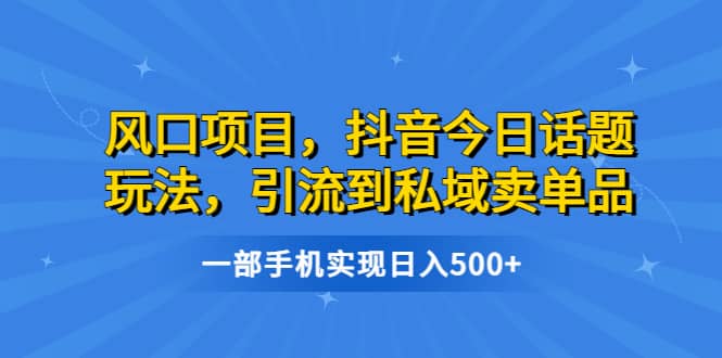 风口项目，抖音今日话题玩法，引流到私域卖单品，一部手机实现日入500-芸启轻创