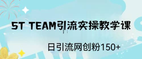 ST TEAM引流实操课，日引流网创粉100-芸启轻创