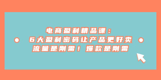 电商 盈利精品课:6大盈利 密码让产品更好卖,流量是刚需!爆款是刚需-芸启轻创